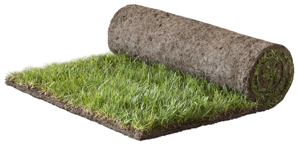 Produktbilde av ferdigplen på rull