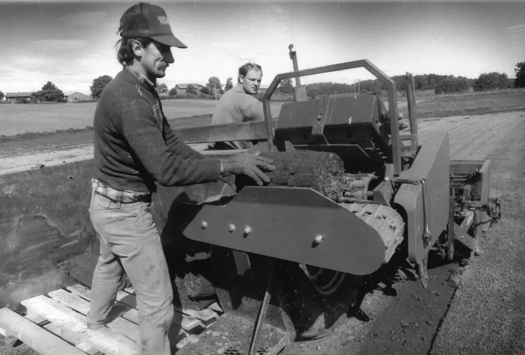 Svart-hvitt arkivfoto fra ferdigplenproduksjon: en arbeider står ved en maskin og håndterer en rull med gress/torv mens den mates inn i utstyr for opprulling eller bearbeiding. En annen person står bak maskinen og ser mot kamera, med jordbrukslandskap i bakgrunnen.