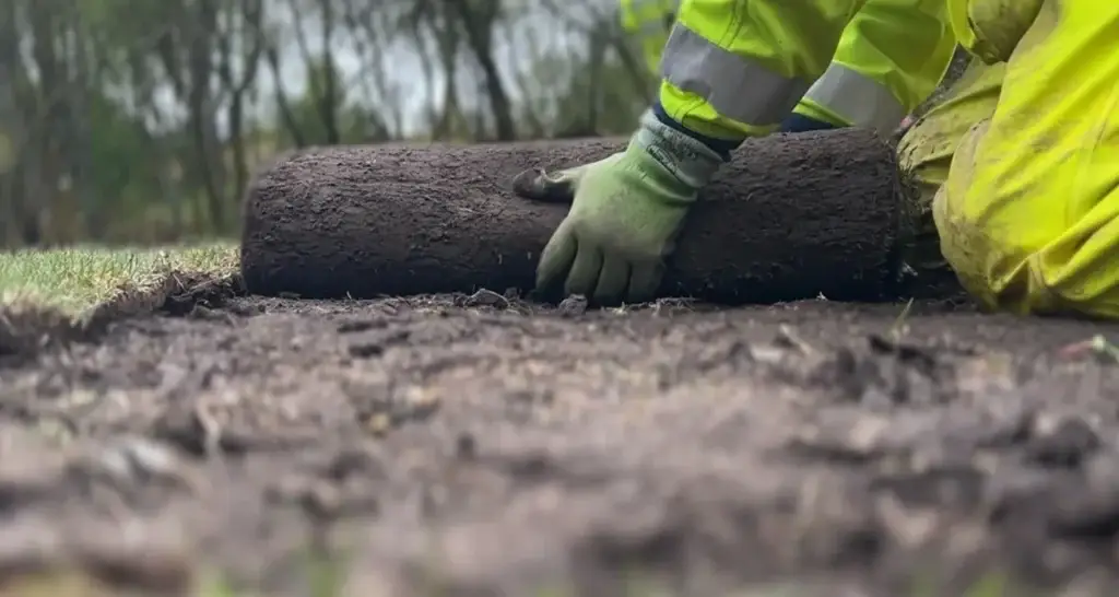 Nærbilde av en person i arbeidsklær og hansker som ruller ut og legger ferdigplen på forberedt jord, med trær i bakgrunnen.
