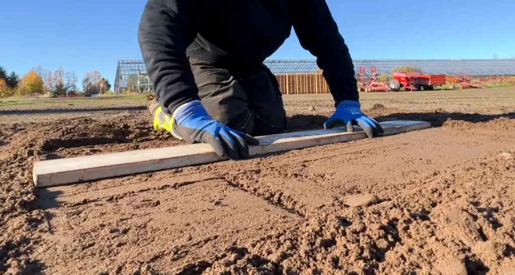 En person i arbeidsklær og blå hansker ligger på kne på et jordet og drar en lang rettholt/treplanke over jorda for å jevne og forberede underlaget før legging av ferdigplen. I bakgrunnen sees drivhus/landbruksbygg og redskaper under klar blå himmel.