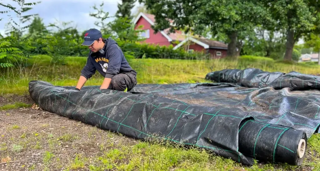Forberedende arbeid før man legger sedum består av å legge ut en duk