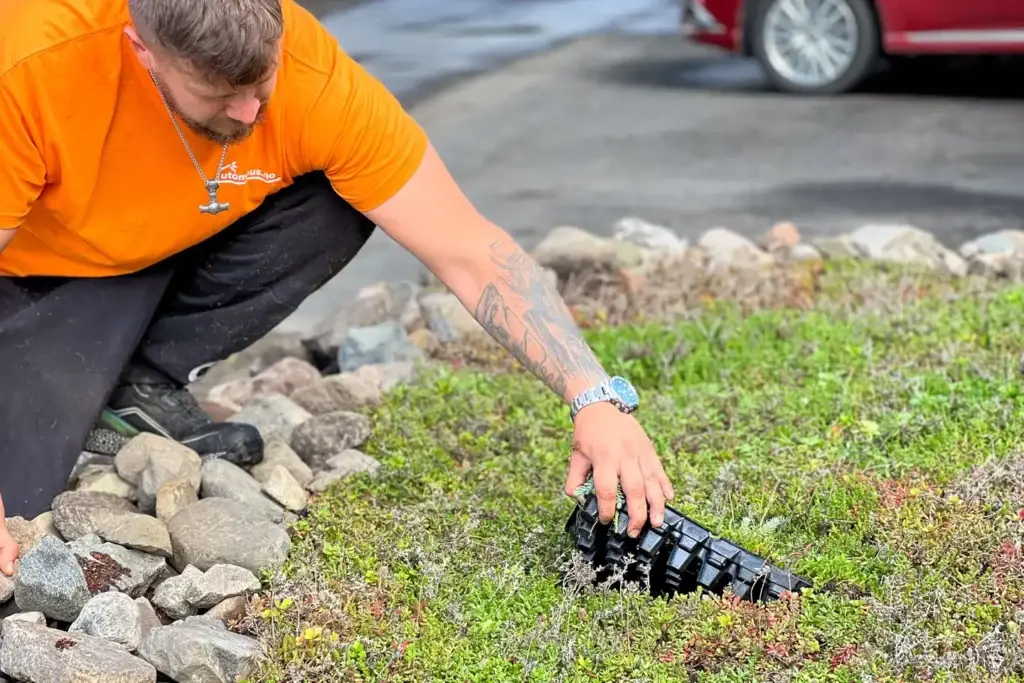 En person i oransje t-skjorte kneeler ved et steinlagt bed og plasserer en svart sedumkassett ned i et grønt sedumdekke med små rødlige innslag.