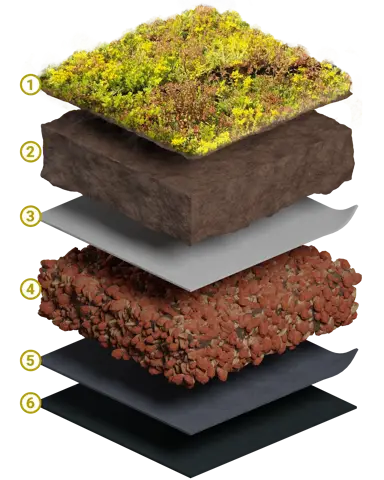 Snittillustrasjon av oppbygning av plastfritt sedumtak i seks lag, vist som en “eksplodert” modell: øverst sedummatte (1), under sedumjord (2), deretter systemfilter (3), lag med resirkulert teglstein som drenering (4), beskyttelsesmatte (5) og nederst takmembran (6).