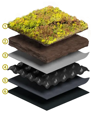 Snittillustrasjon av oppbygning av sedumtak i seks lag, vist som en “eksplodert” modell: øverst sedummatte (1), under sedumjord (2), deretter systemfilter (3), drensplate (4), beskyttelsesmatte (5) og nederst takmembran (6).