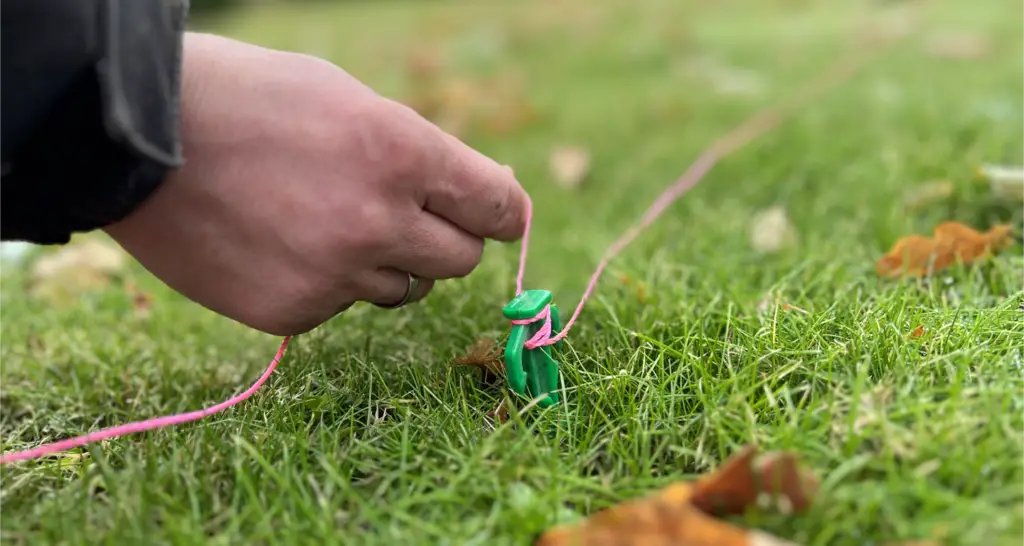Nærbilde av en hånd som strammer en rosa snor festet rundt en liten grønn plugg i gresset, brukt som oppmerking ved måling. Det ligger noen høstblader i gresset, og bakgrunnen er uskarp.