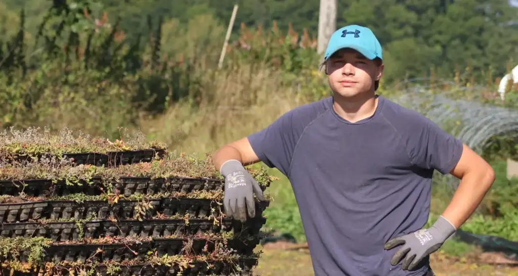 Ansatt i arbeidshansker og blå caps står utendørs med armen lent på en pall med stablede sedumkassetter, med grønn vegetasjon og skog i bakgrunnen.
