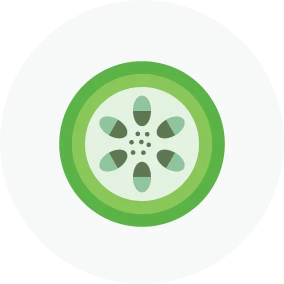 Illustrasjon av snitt gjennom sedumplante som viser innsiden, sett ovenfra.